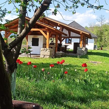 Casa Livada Bunicii Tîrgu Ocna Exterior foto