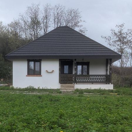 Casa Livada Bunicii Tîrgu Ocna Exterior foto