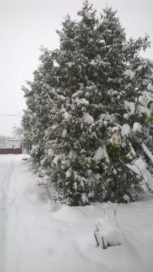 Casa Livada Bunicii Tîrgu Ocna Exterior foto