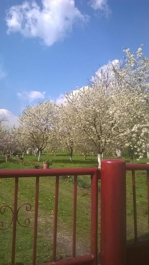 Casa Livada Bunicii Tîrgu Ocna Exterior foto