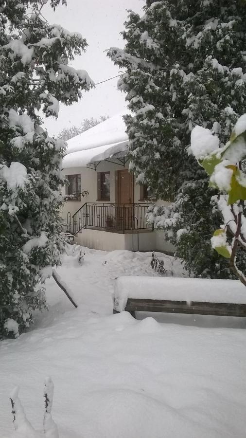 Casa Livada Bunicii Tîrgu Ocna Exterior foto