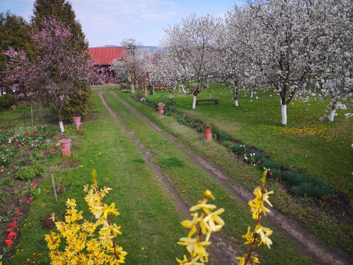 Casa Livada Bunicii Tîrgu Ocna Exterior foto