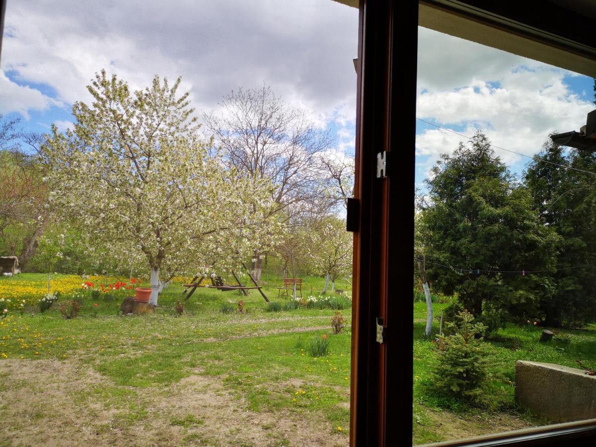 Casa Livada Bunicii Tîrgu Ocna Exterior foto