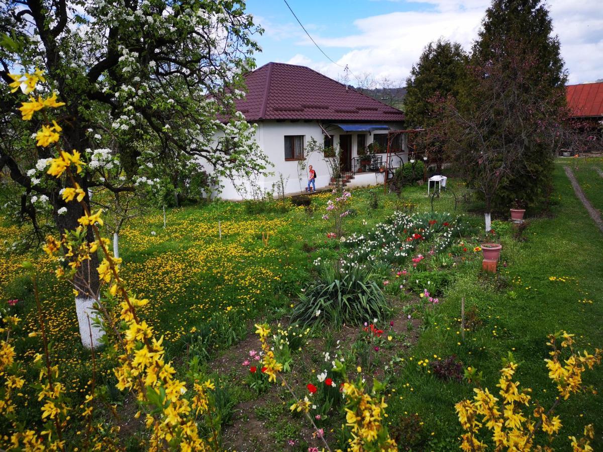 Casa Livada Bunicii Tîrgu Ocna Exterior foto