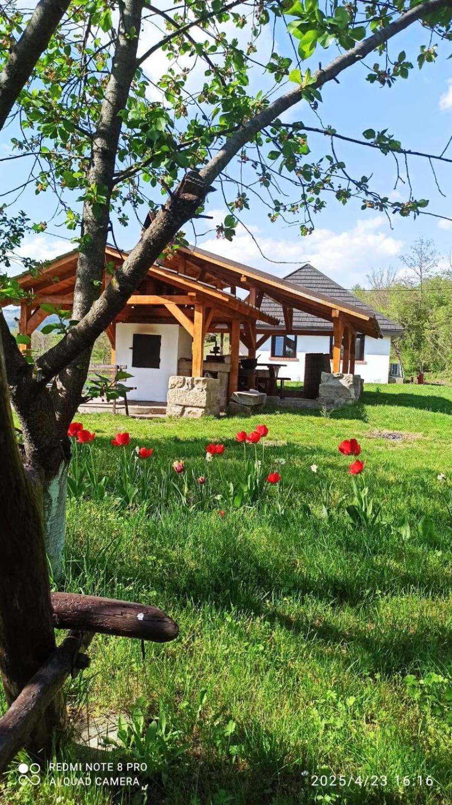 Casa Livada Bunicii Tîrgu Ocna Exterior foto