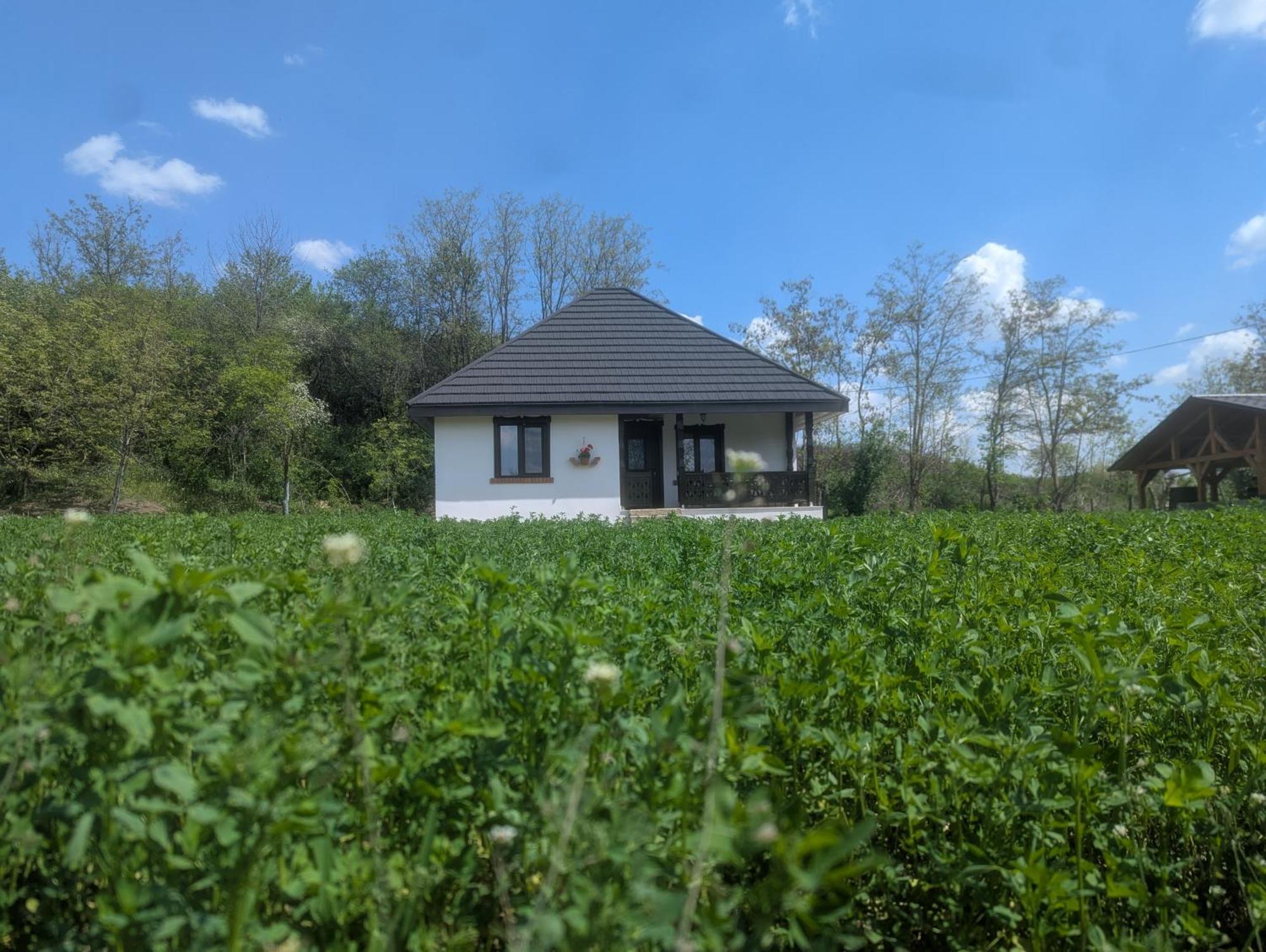 Casa Livada Bunicii Tîrgu Ocna Quarto foto